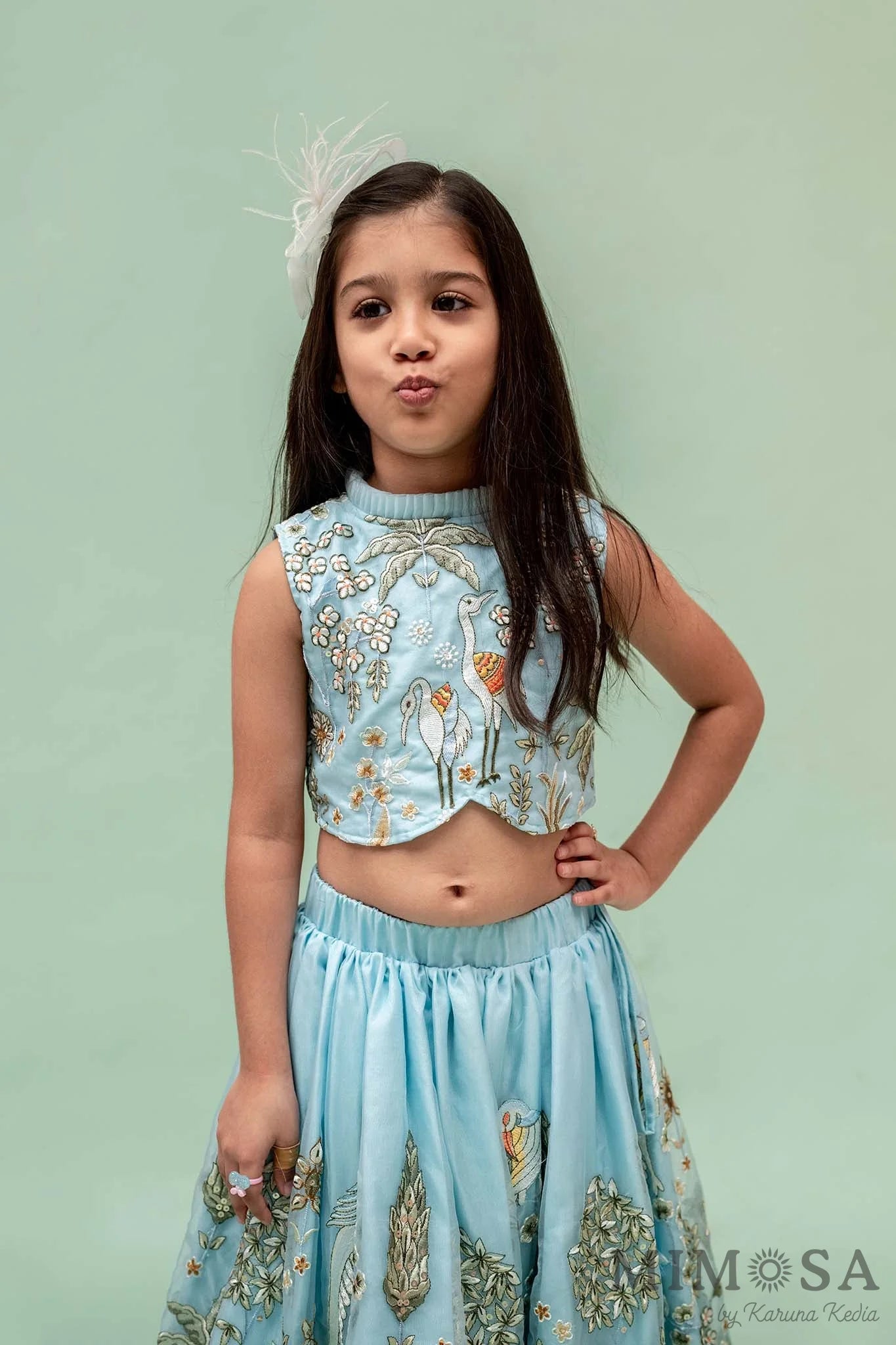 Flamingo lehnga set in organza with cotton silk lining