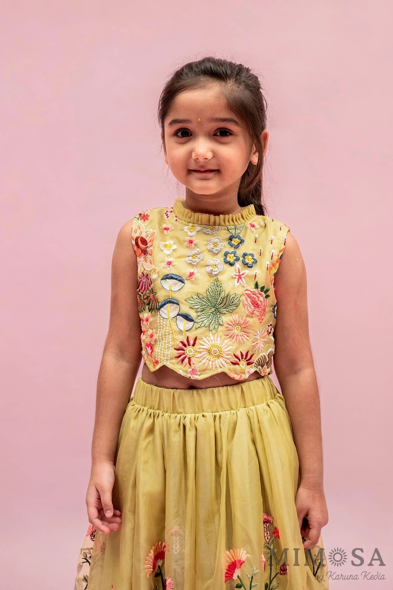 Spring organza lehnga set with cotton silk lining