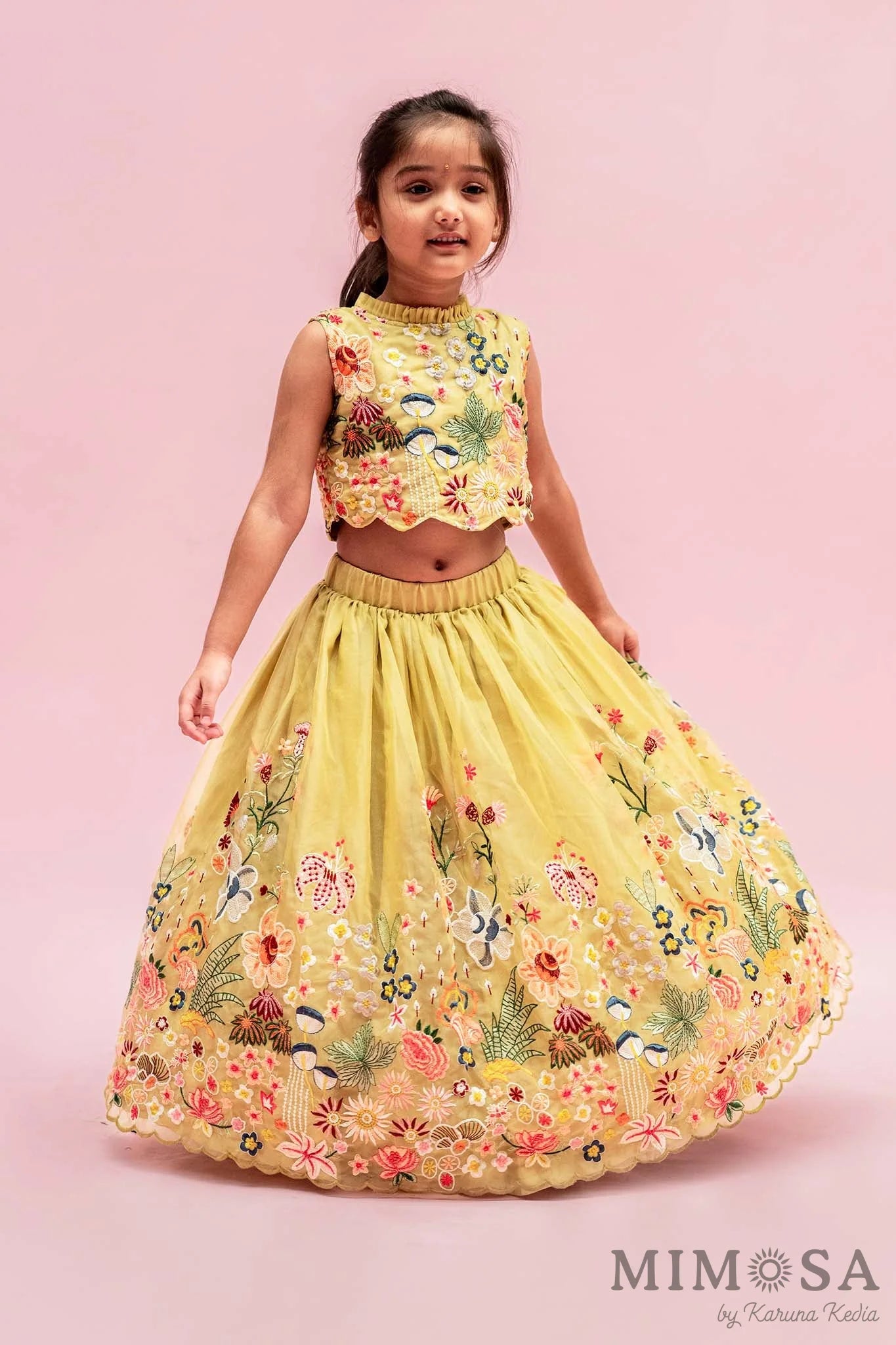 Spring organza lehnga set with cotton silk lining