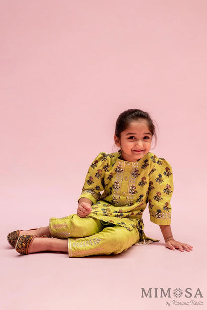 Block print Kurti with Mirror Work around the neck paired with Mirror Work pants