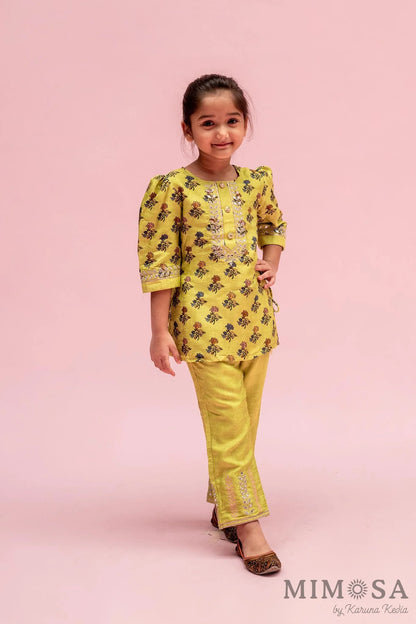 Block print Kurti with Mirror Work around the neck paired with Mirror Work pants