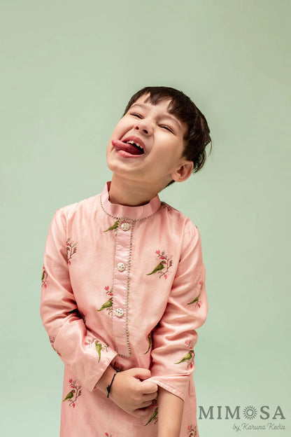 Boys kurta set - parrot embroidery Kurta in Chanderi