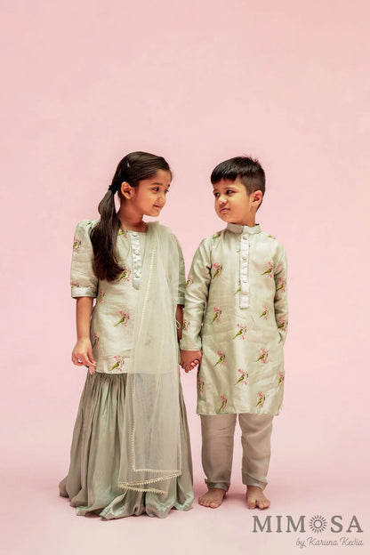 Boys kurta set - parrot embroidery Kurta in Chanderi