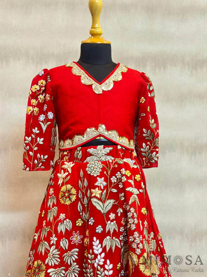 Elegant red embroidered lehenga set
