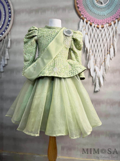 Embroidered Peplum gown