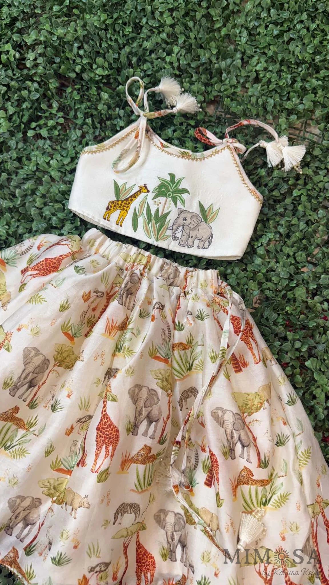 Embroidered top and skirt