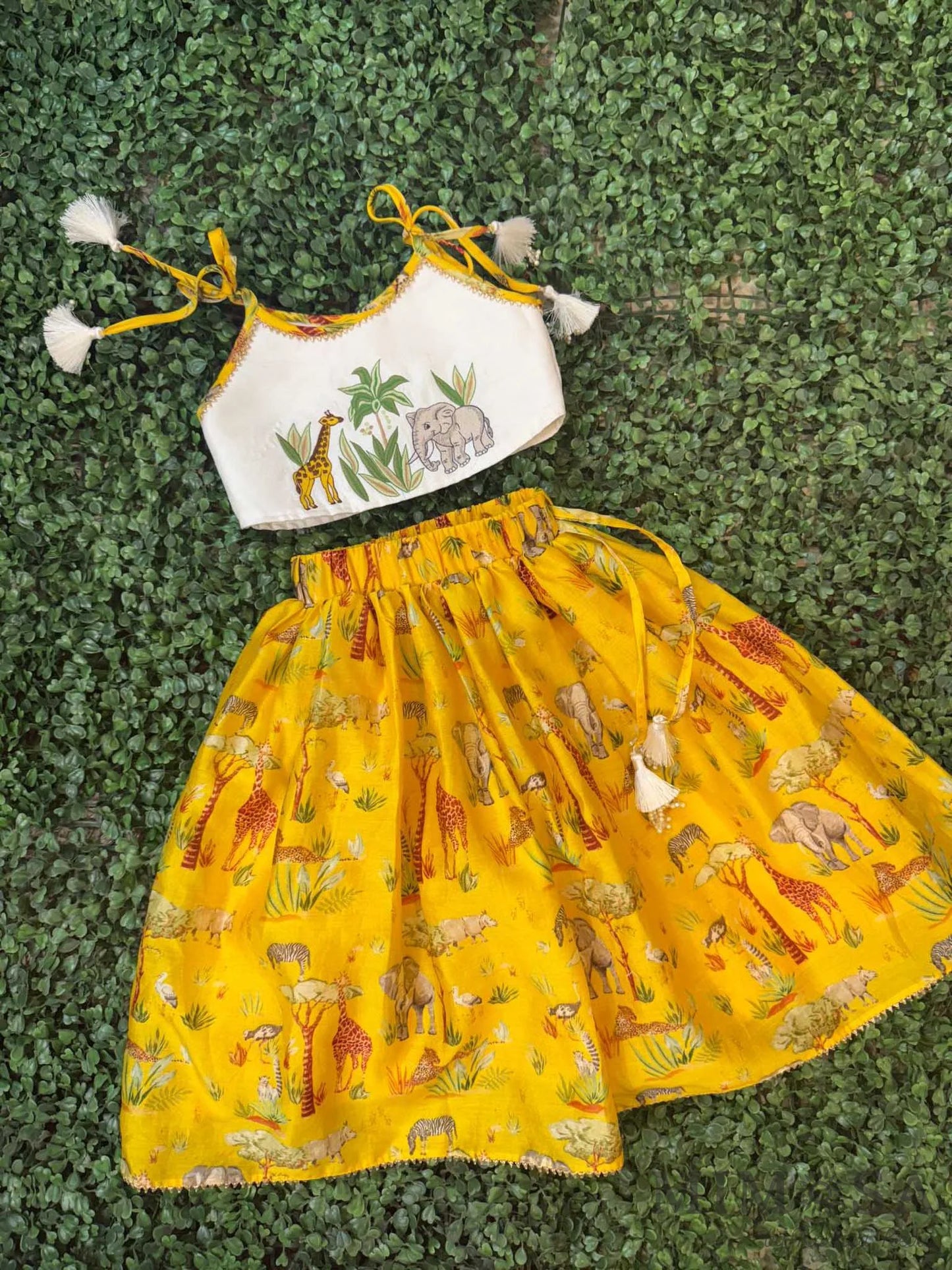 Embroidered top and skirt