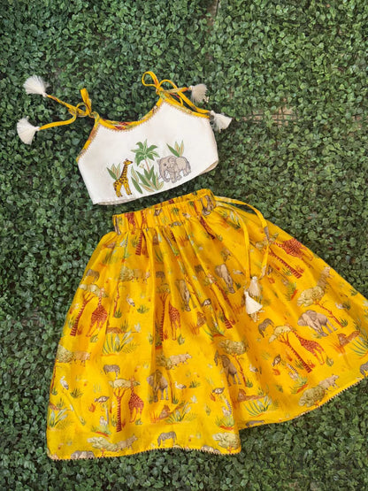 Embroidered top and skirt