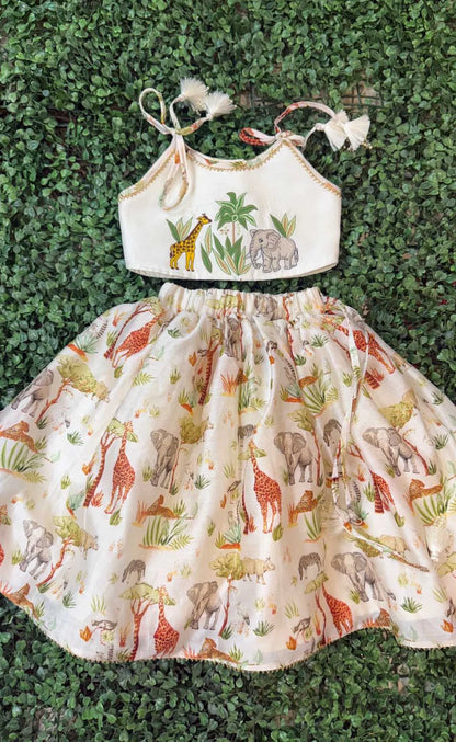 Embroidered top and skirt