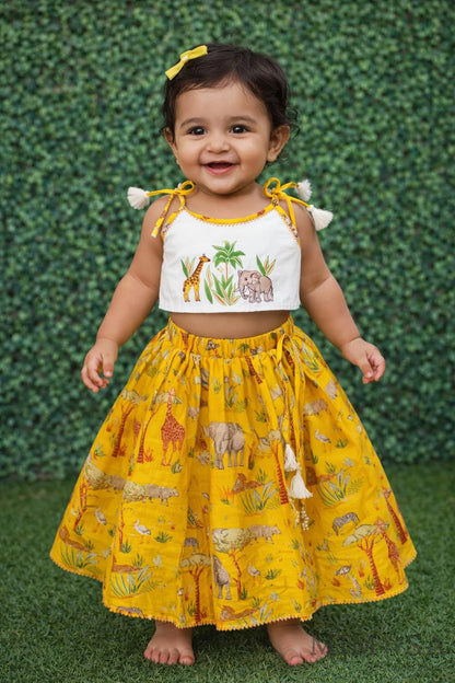 Embroidered top and skirt