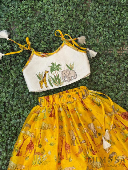 Embroidered top and skirt