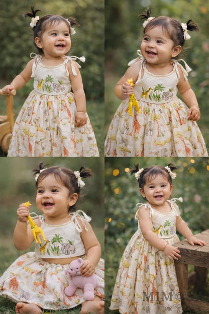 Embroidered top and skirt