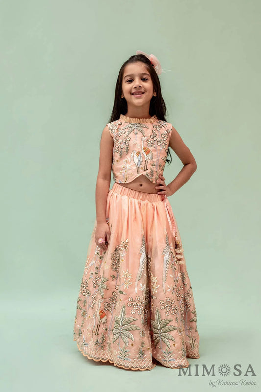 Flamingo lehnga set in organza with cotton silk lining