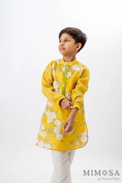 Mix and match Kurta in Chanderi silk and contrast placket