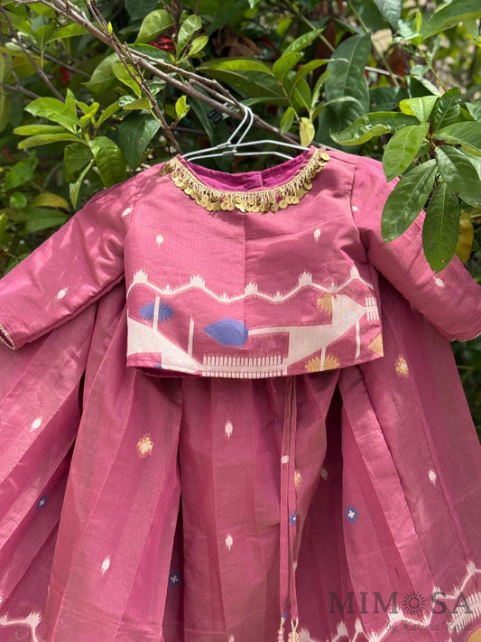 Onion pink Jamdaani pleated skirt top