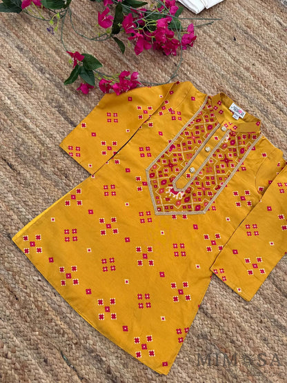 Patola Print Chanderi Yoke Kurta