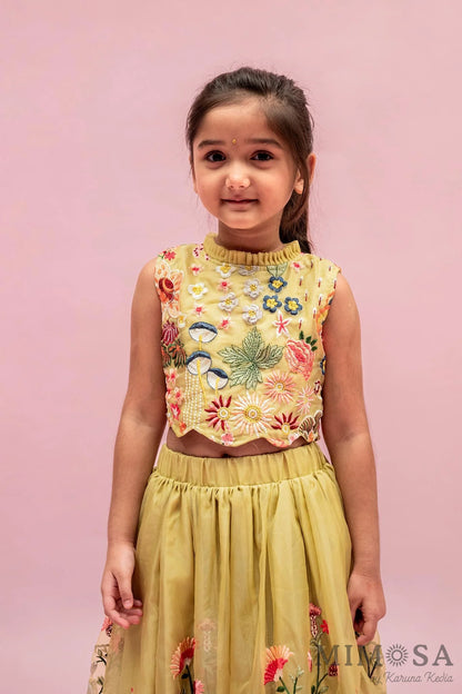 Spring organza lehnga set with cotton silk lining