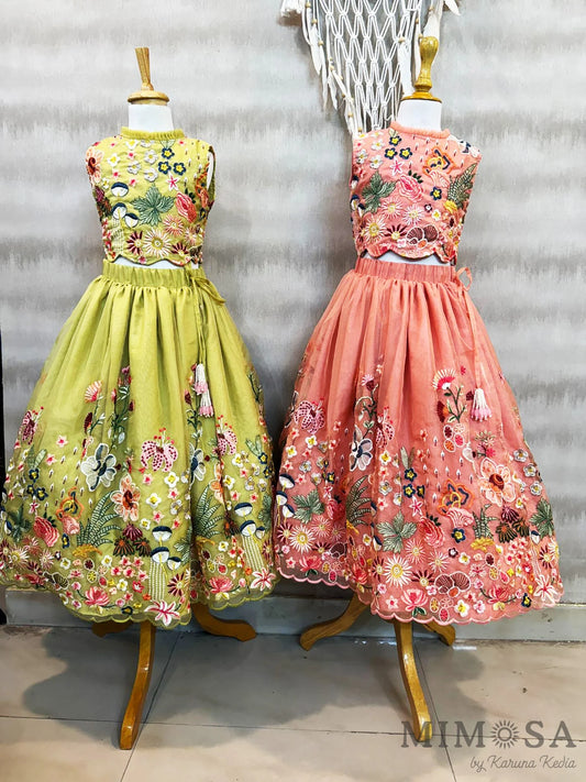 Spring organza lehnga set with cotton silk lining