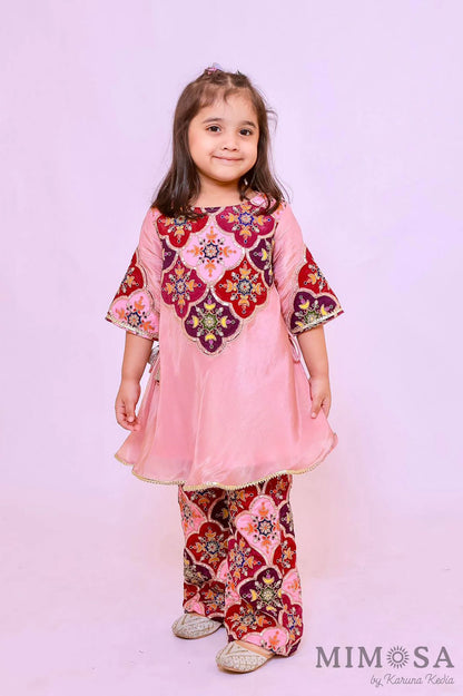 Tissue Kurta set with  flared pants with embroidered yolk and lined with cotton silk